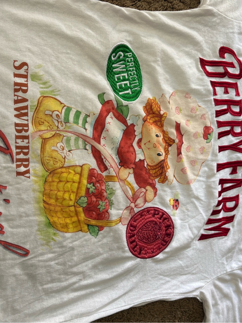 Strawberry Shortcake embroidered Berry Farm Strawberry Patch Womens shirt
